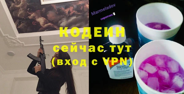 СК Дмитров