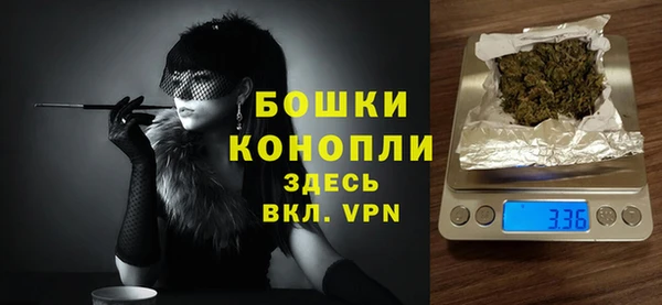 СК Дмитров