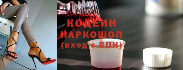 индика Гусев