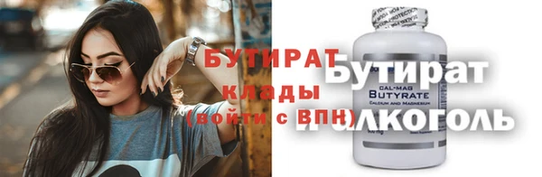 индика Гусев