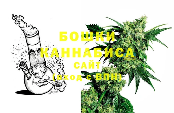 гидра Дмитриев
