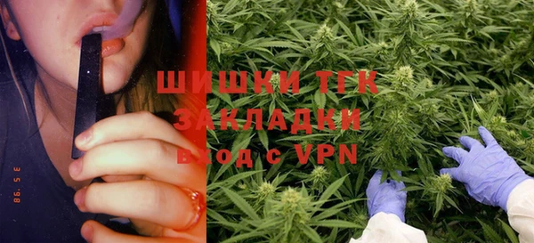 гидра Дмитриев