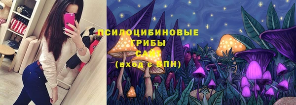 прущая мука Гусь-Хрустальный