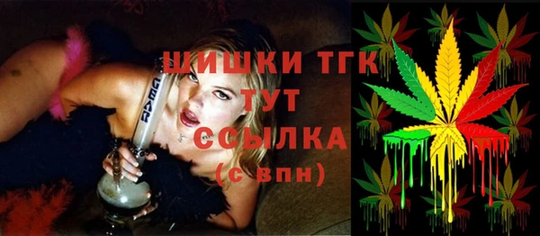СК Дмитров