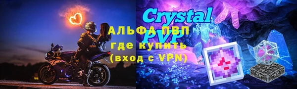 индика Гусев