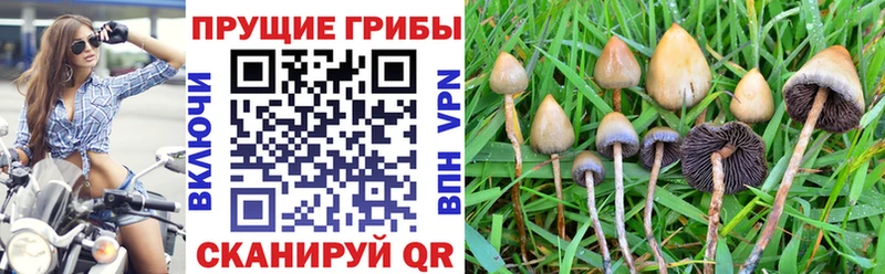 mega рабочий сайт  сколько стоит  Грязи  Галлюциногенные грибы прущие грибы 